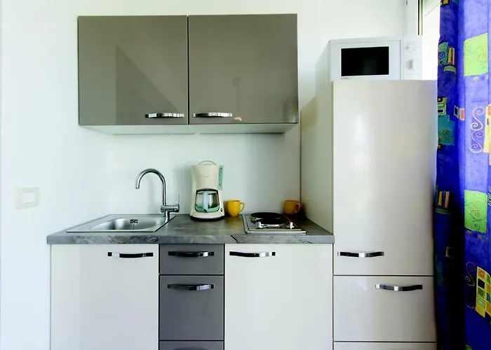 Vilic 아파트 풀라