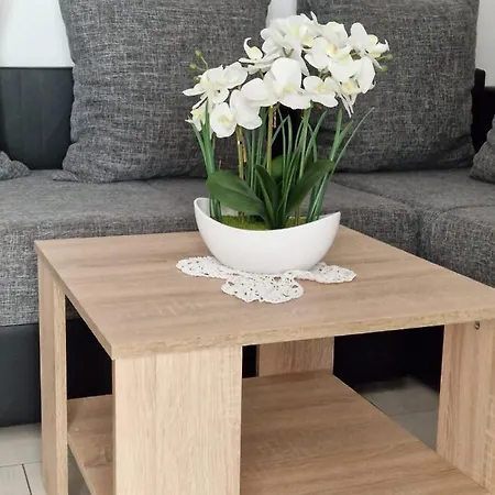 Vilic Apartman *
