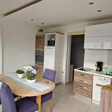 Apartman Vilic *